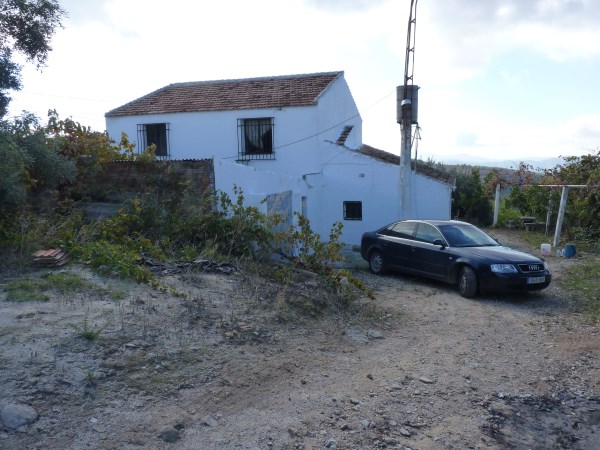 Large Finca with 13,000 m2 of fruit productive land. Swimming pool. Antequera region. 